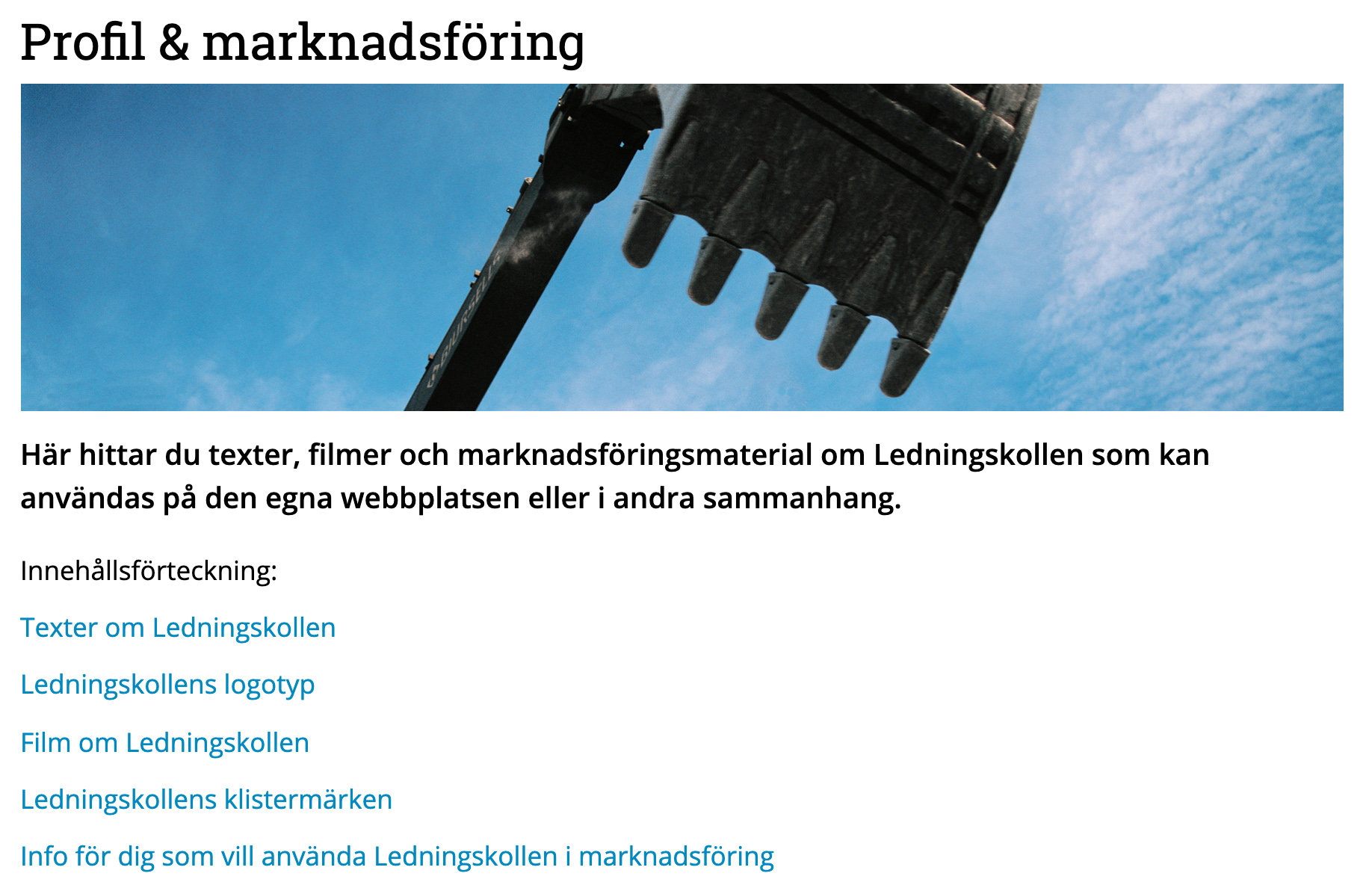 Skärmdump från sidan "Profil och marknadsföring"